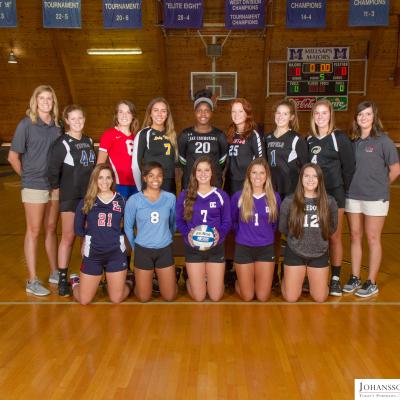 2017 Volleyball All-Stars